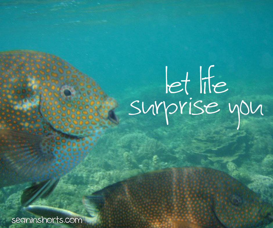 let life surprise you